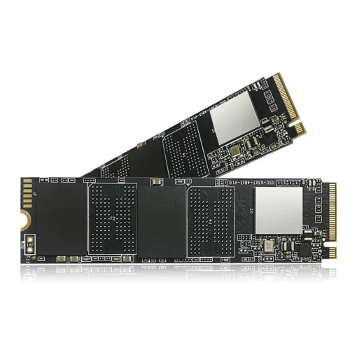 OSCOO SSD NVMe 2280 512GB